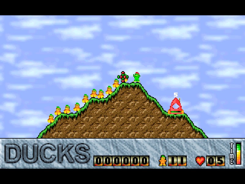 Ducks